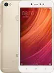 Xiaomi redmi Y1 Price